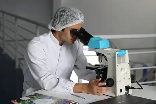 Diagnostics, Laboratory, Digital Radiology and Ultrasound