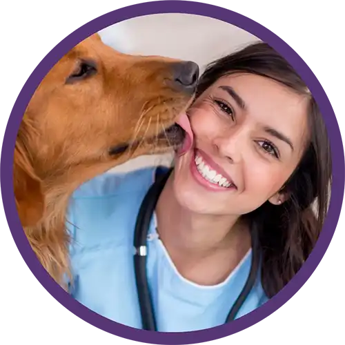 Yellow lab dog and a smiling veterinarian